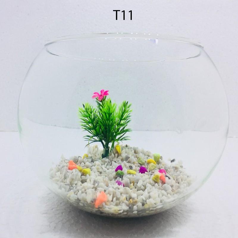Bể cá mini TRÒN, chậu cá thủy tinh chọn mẫu