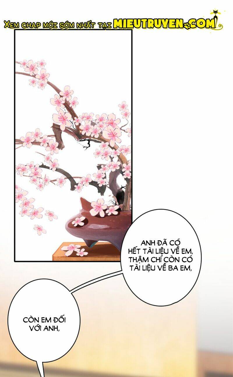 nhất sinh nhất thế mỹ nhân cốt chapter 15 31