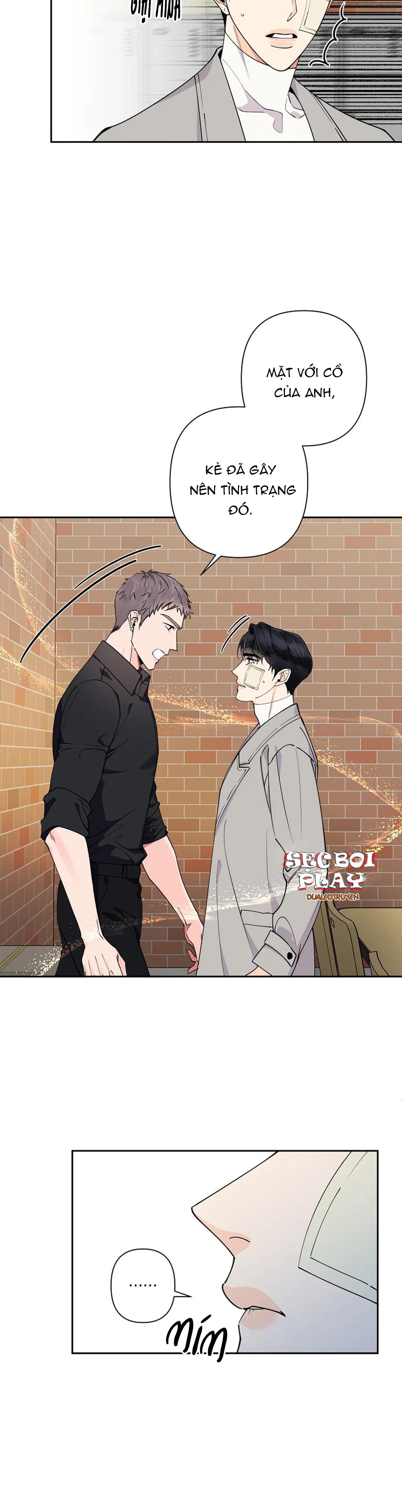 đêm dịu dàng chapter 12 5