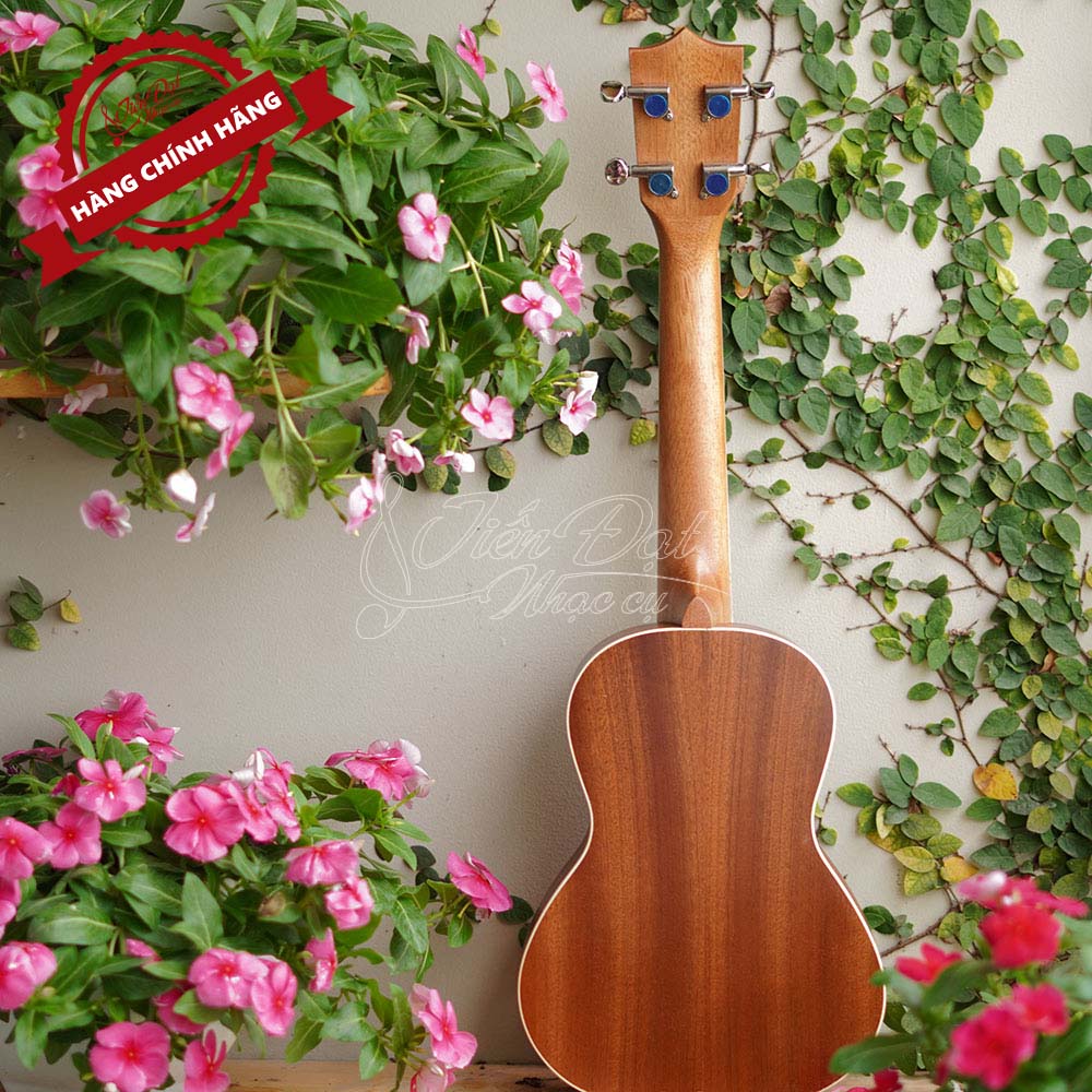 Đàn Ukulele Concert U 24INCH Gỗ Gụ Cao Cấp Siêu Bền - Hàng Chính Hãng