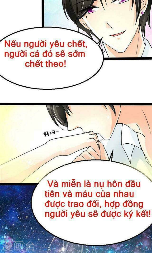 sủng vật người cá của tổng tài chapter 3 11