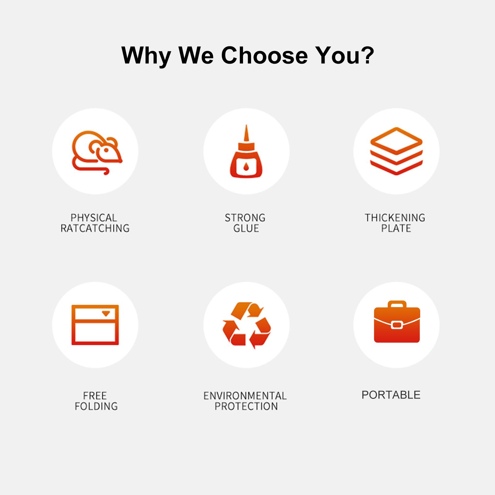 Bẫy chuột Snare Cather Pad sử dụng cho văn phòng , nhà ở