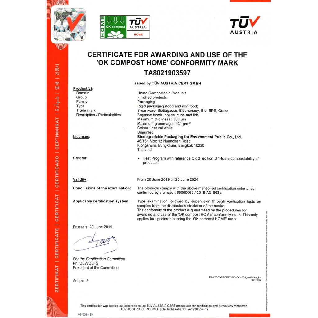 Đĩa bã mía 3 ngăn - 10 in - 261mm - Tiện lơi, thân thiện với môi trường