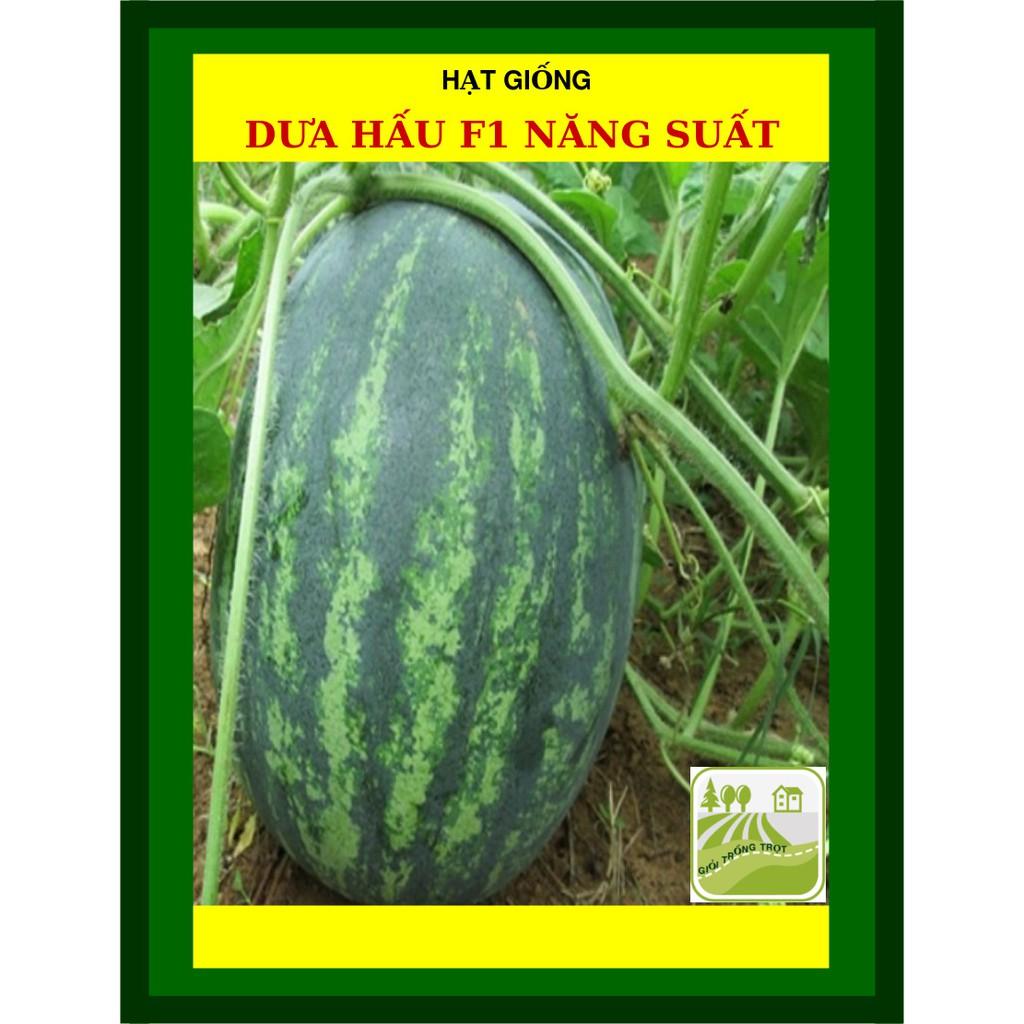 Hạt Giống Dưa Hấu F1 Năng Suất Cao Gói 2gram