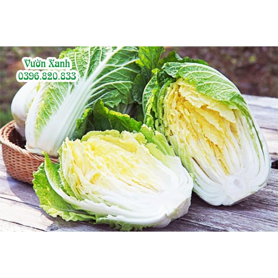 Hạt giống bắp cải thảo F1 chịu nhiệt 1gr