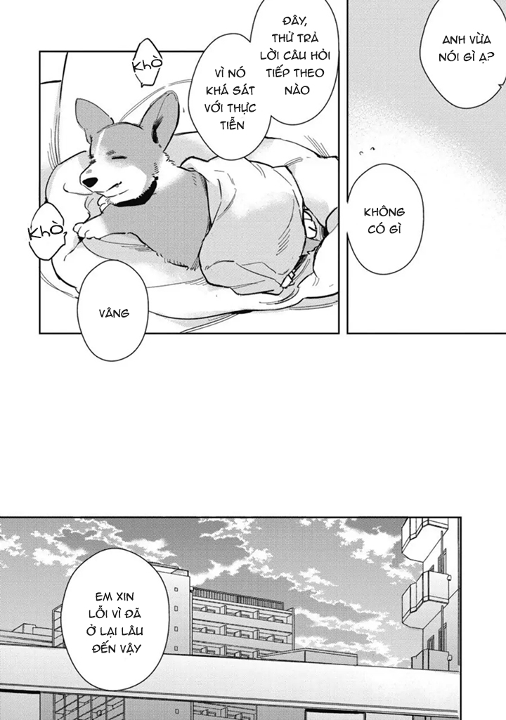 hàng xóm nhà bên chapter 1 26