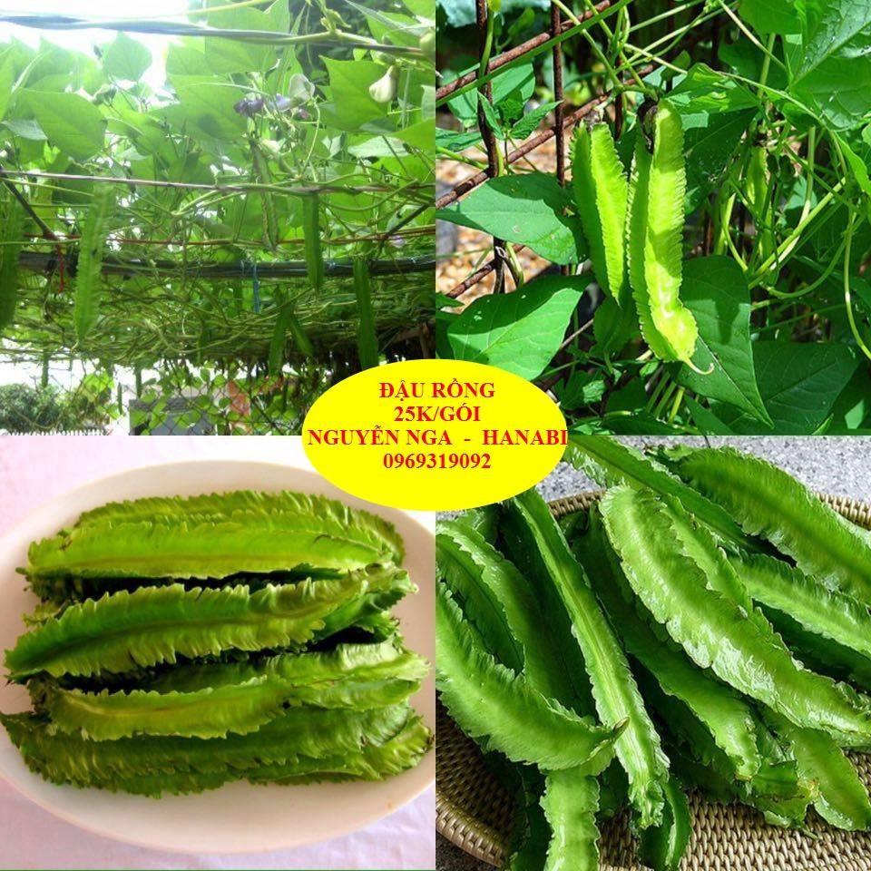 Hạt giống đậu rồng