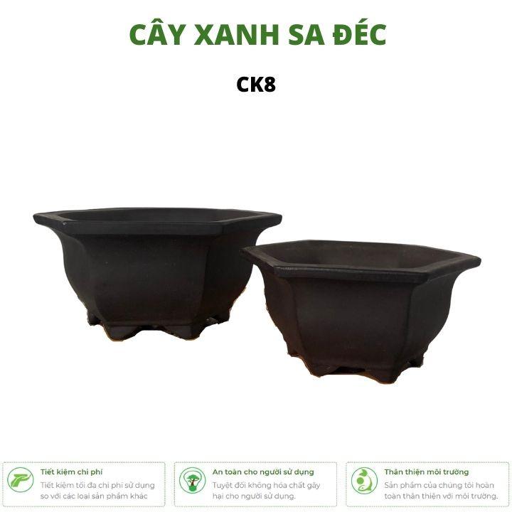 Bộ chậu lục giác mini CK8 với 2 kích cỡ nhỏ và lớn làm chậu bonsai mini, chậu cây hoa trang trí