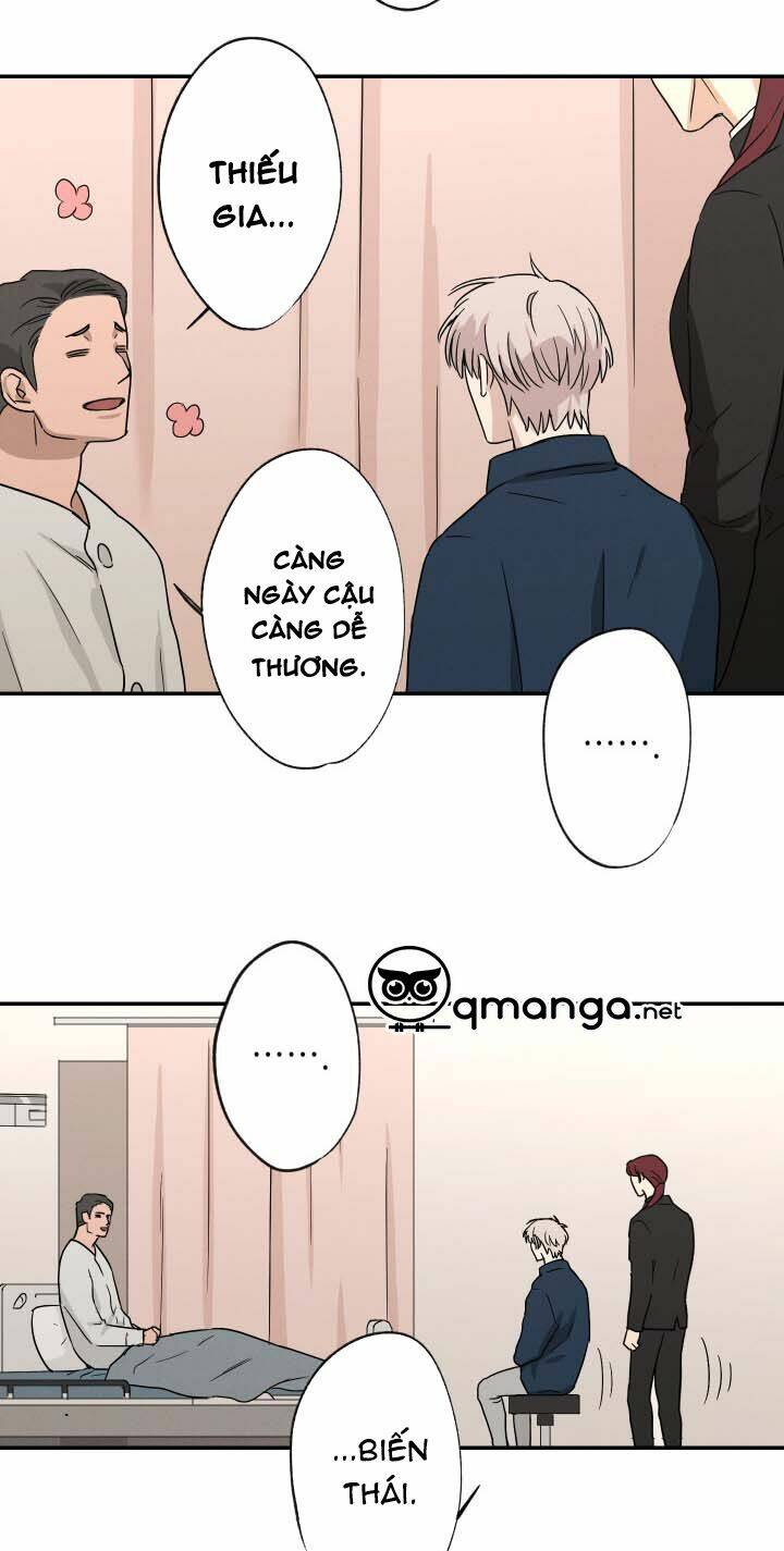 trốn tìm chapter 11 20