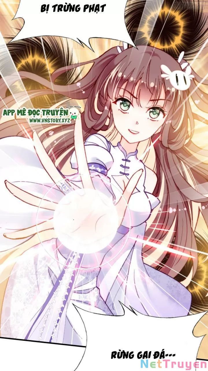 lại bị bệnh chiều chuộng quấn lấy chapter 21 36