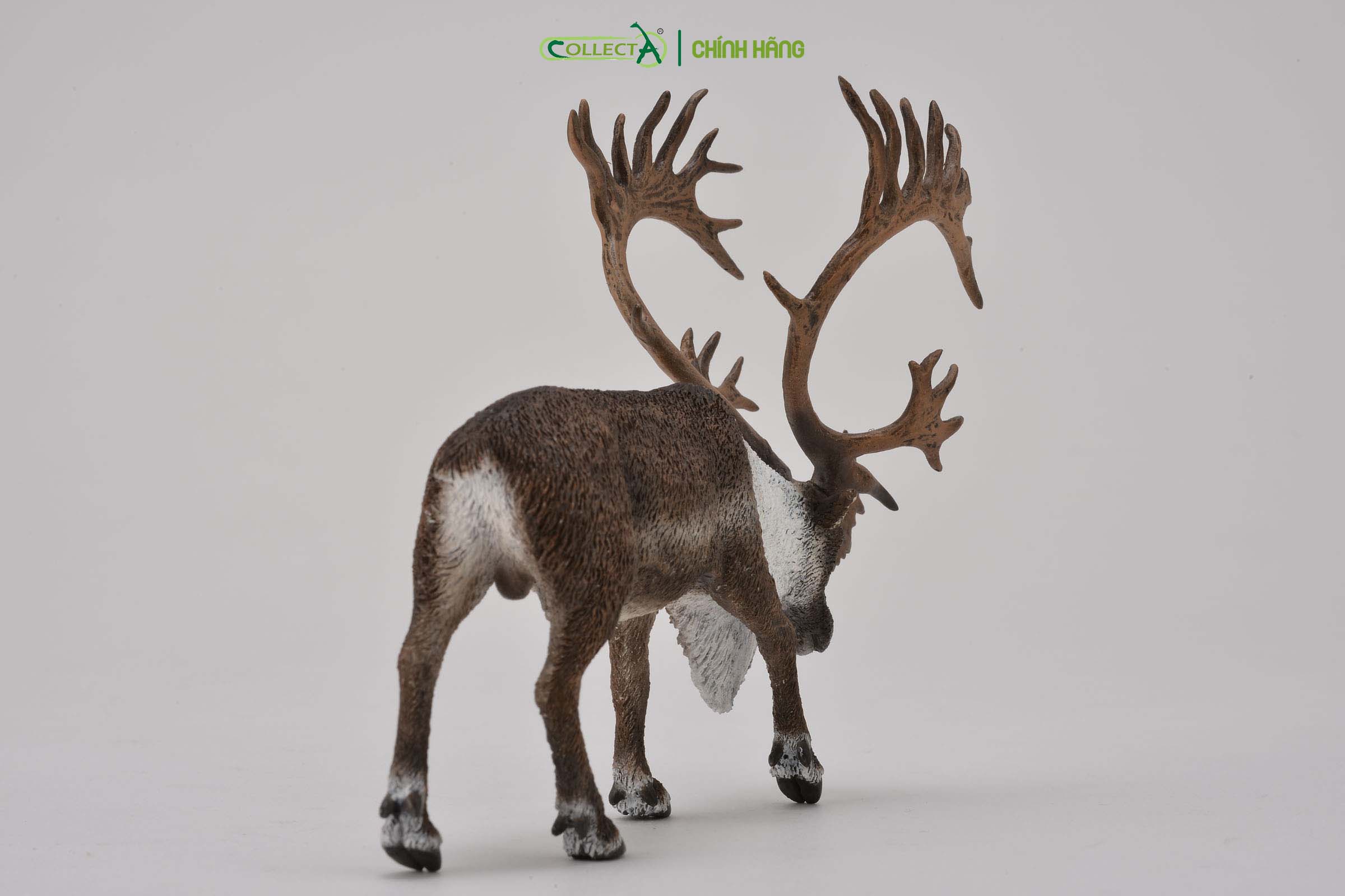 Mô hình thu nhỏ: Tuần Lộc - Woodland Caribou , hiệu: CollectA, mã HS 9651430 - Chất liệu an toàn cho trẻ - Hàng chính hãng