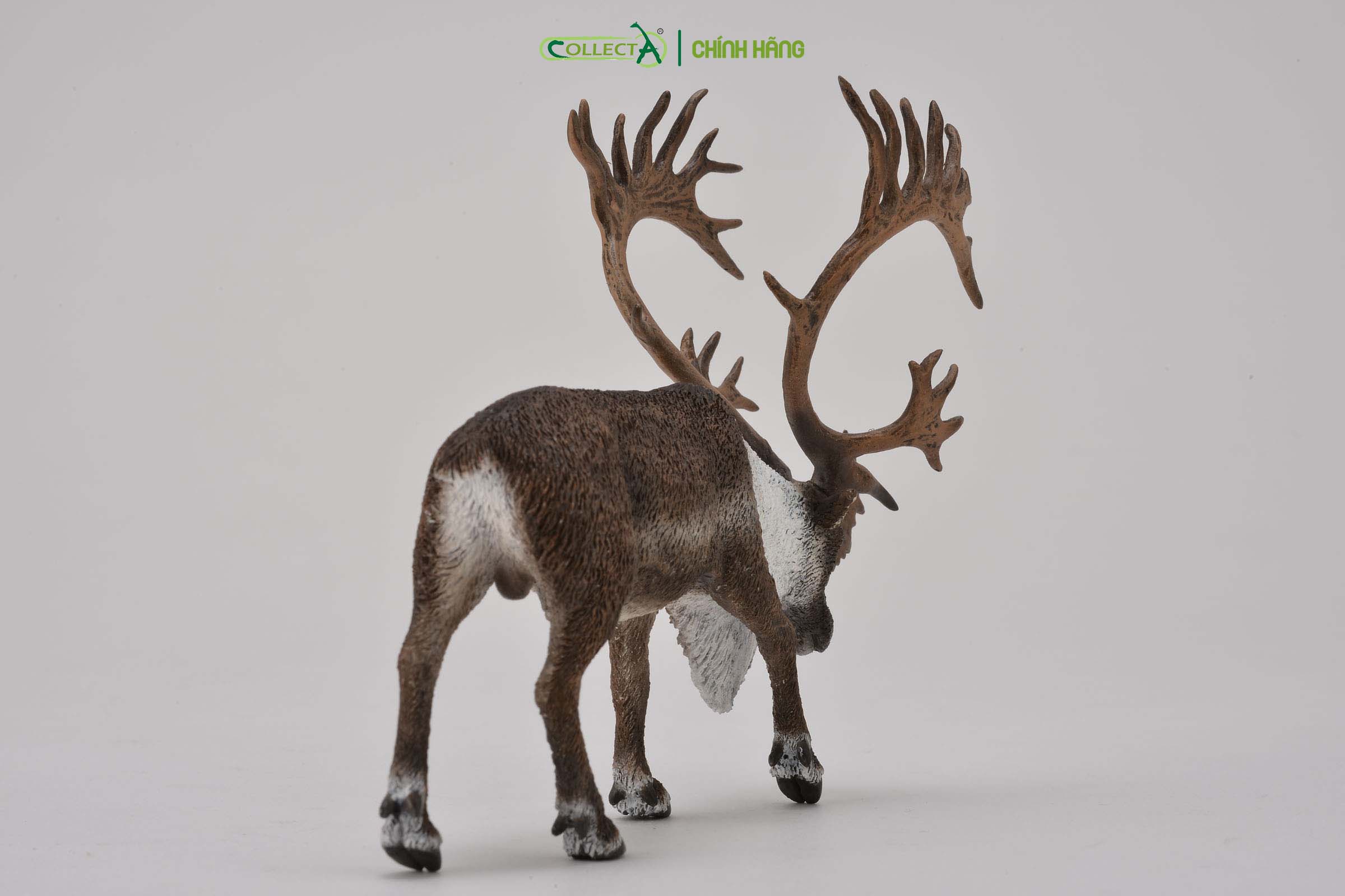 Mô hình thu nhỏ: Tuần Lộc - Woodland Caribou , hiệu: CollectA, mã HS 9651430[88709] -  Chất liệu an toàn cho trẻ - Hàng chính hãng