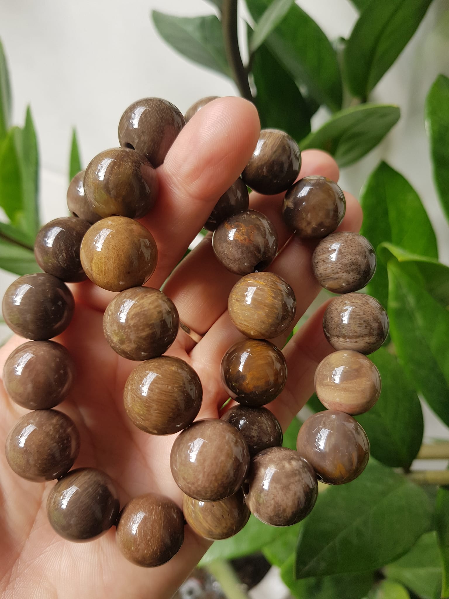 Vòng Gỗ Hóa Thạch Nam 16mm Màu Sáng Bóng Tự nhiên Gỗ Hóa Thạch Đẹp Nam đeo size vòng 16mm sang tay ạ