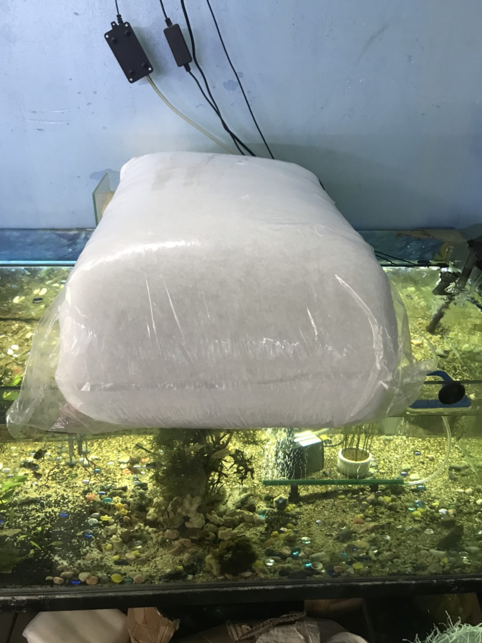 1kg bông lọc bể cá