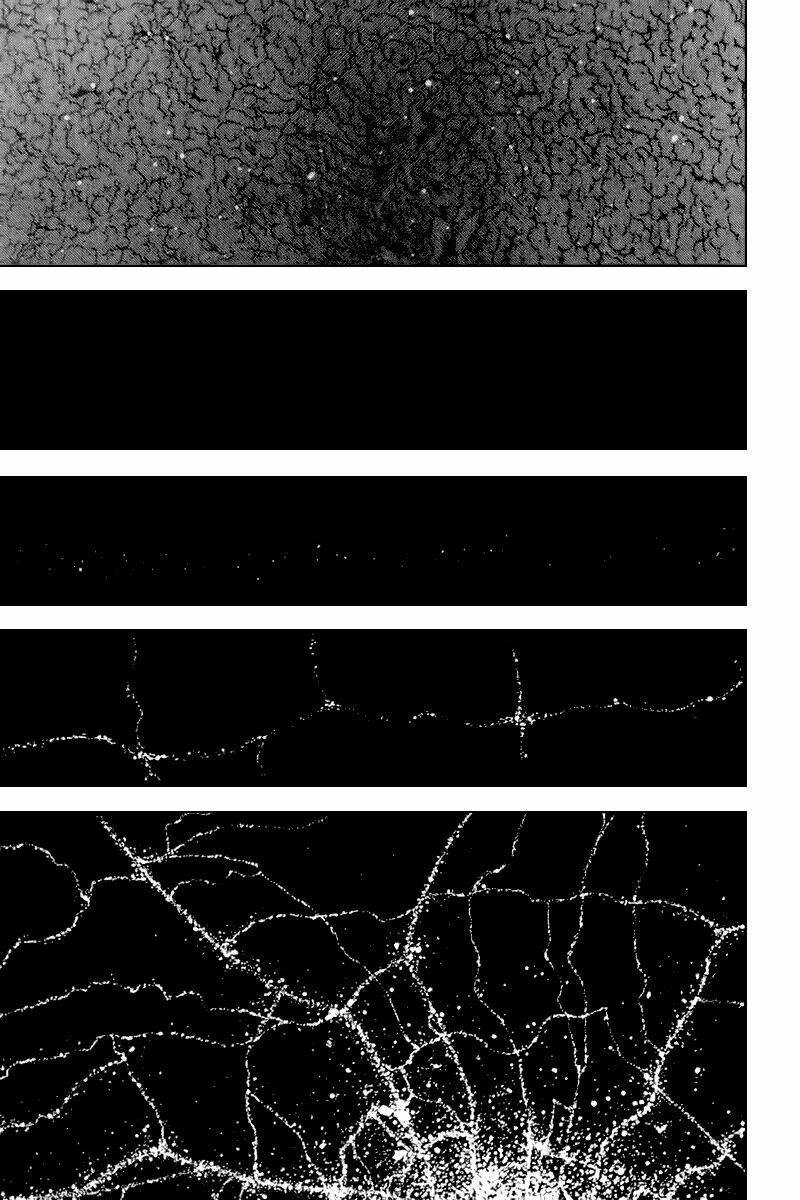 dragon head chapter 89 23