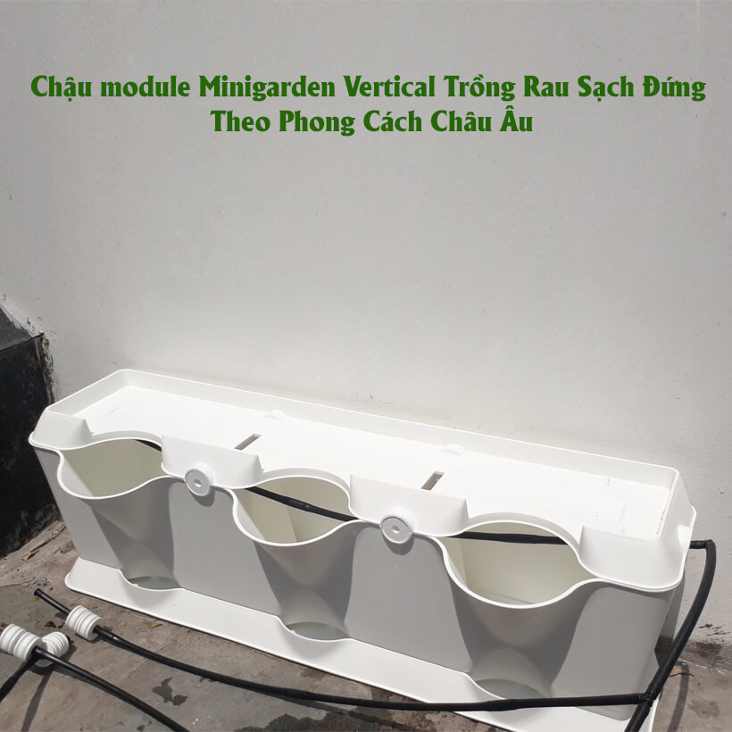 CHẬU MODULE TRỒNG RAU BAN CÔNG NHẬP KHẨU BỒ ĐÀO NHA