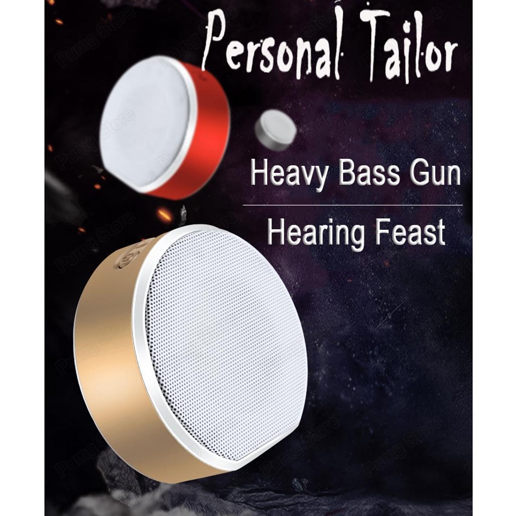 Bluetooth Speaker, 33-Feet Bluetooth Range & Built-in FM Radio & Mic, Wireless