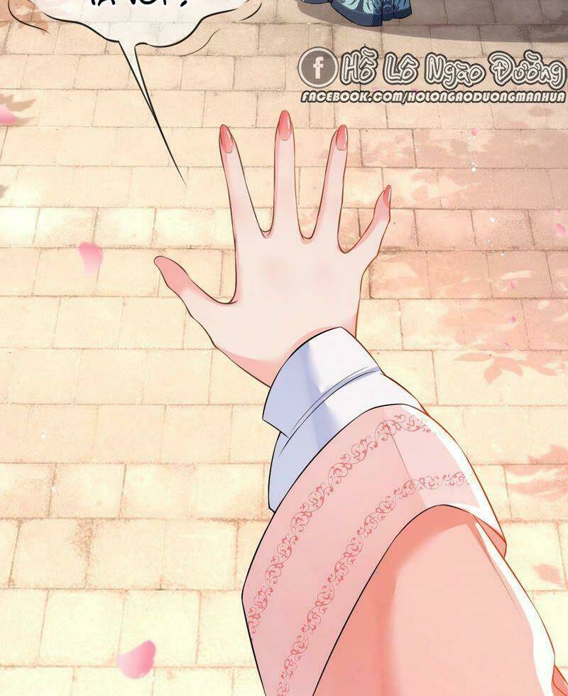 quận chúa vững vàng, thiết lập nhân vật không thể vỡ chapter 41 58