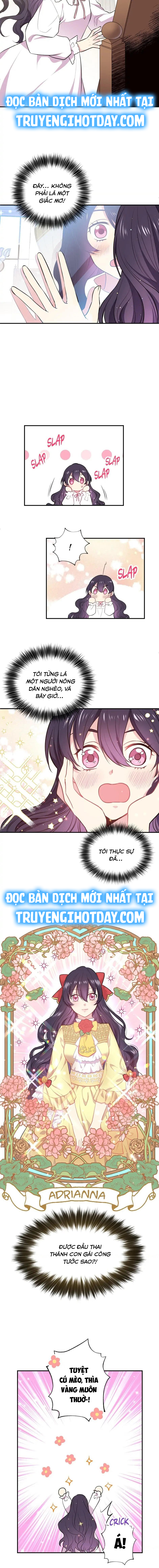 quý cô ngậm thìa vàng chapter 1 5