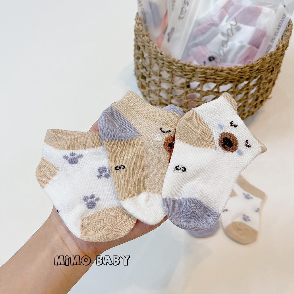 Set 5 đôi tất lưới Kidsock hình gấu Mimo Baby cho bé