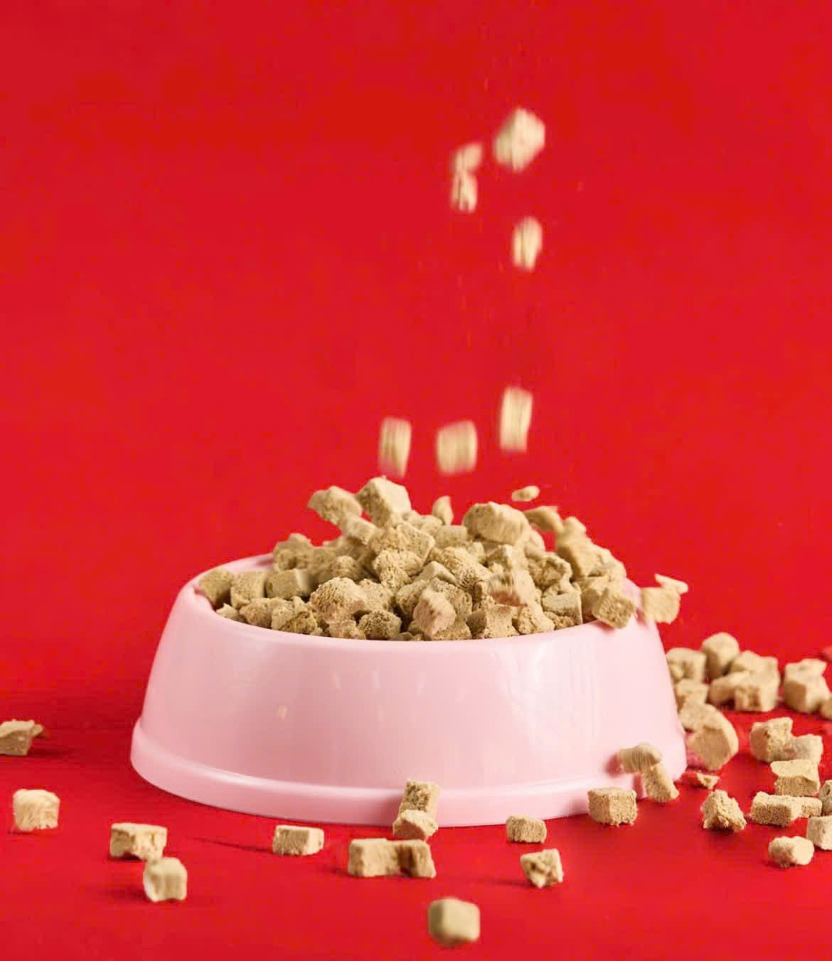 Thức ăn Raw Food cho chó cá hồi &amp; thịt vịt tươi KELLY CO'S Freeze Dried Raw Food For Dog [ 156g