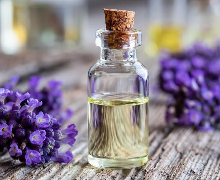 Tinh dầu Oải Hương 50ml nguyên chất từ thiên nhiên, xông phòng, khử mùi, thơm phòng, đuổi muỗi - KingOil