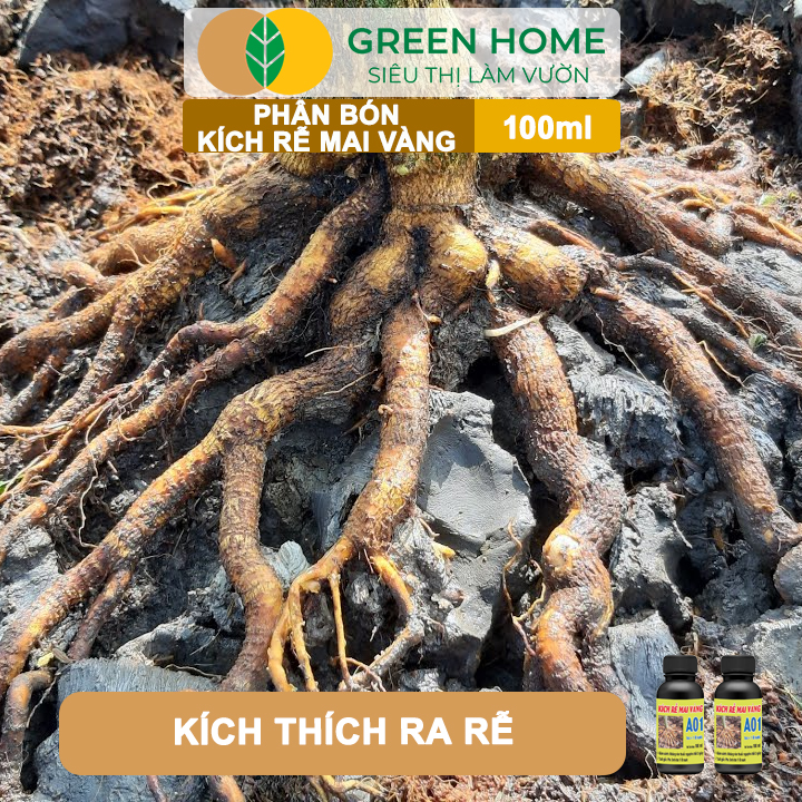 Phân Bón Kích Rễ Mai Vàng GreenHome, Hũ 100ml, Ra Rễ Cực Mạnh Dùng Giâm, Chiết Cành, Chuyên Hoa Mai
