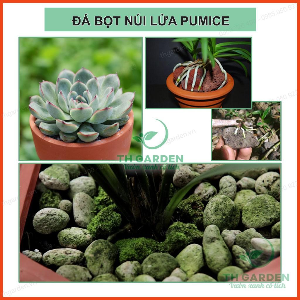 0.5kg Đá Bọt Trồng Lan Pumice TH Garden - Nhẹ Thoáng, Giữ Ẩm Tốt - Giá Thể Trồng Lan, Sen Đá, Cây Cảnh ...