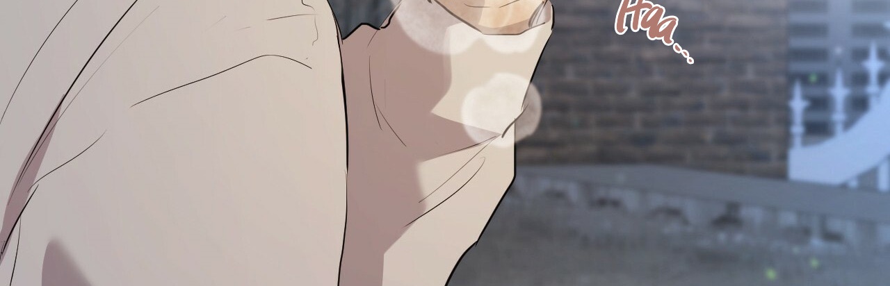 đàn thỏ của habibi chapter 22 491