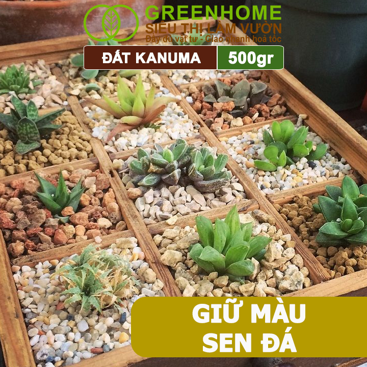 Đất Trồng Cây Kanuma Greenhome, Bao 500gr, Giá Thể Nhiều Khoáng Chất, Trồng Sen Đá, Bonsai