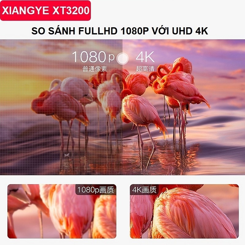 Màn Hình Máy Tính 32 inch UHD 4K (3840 x 2160) XT3200 - Giao hàng toàn quốc