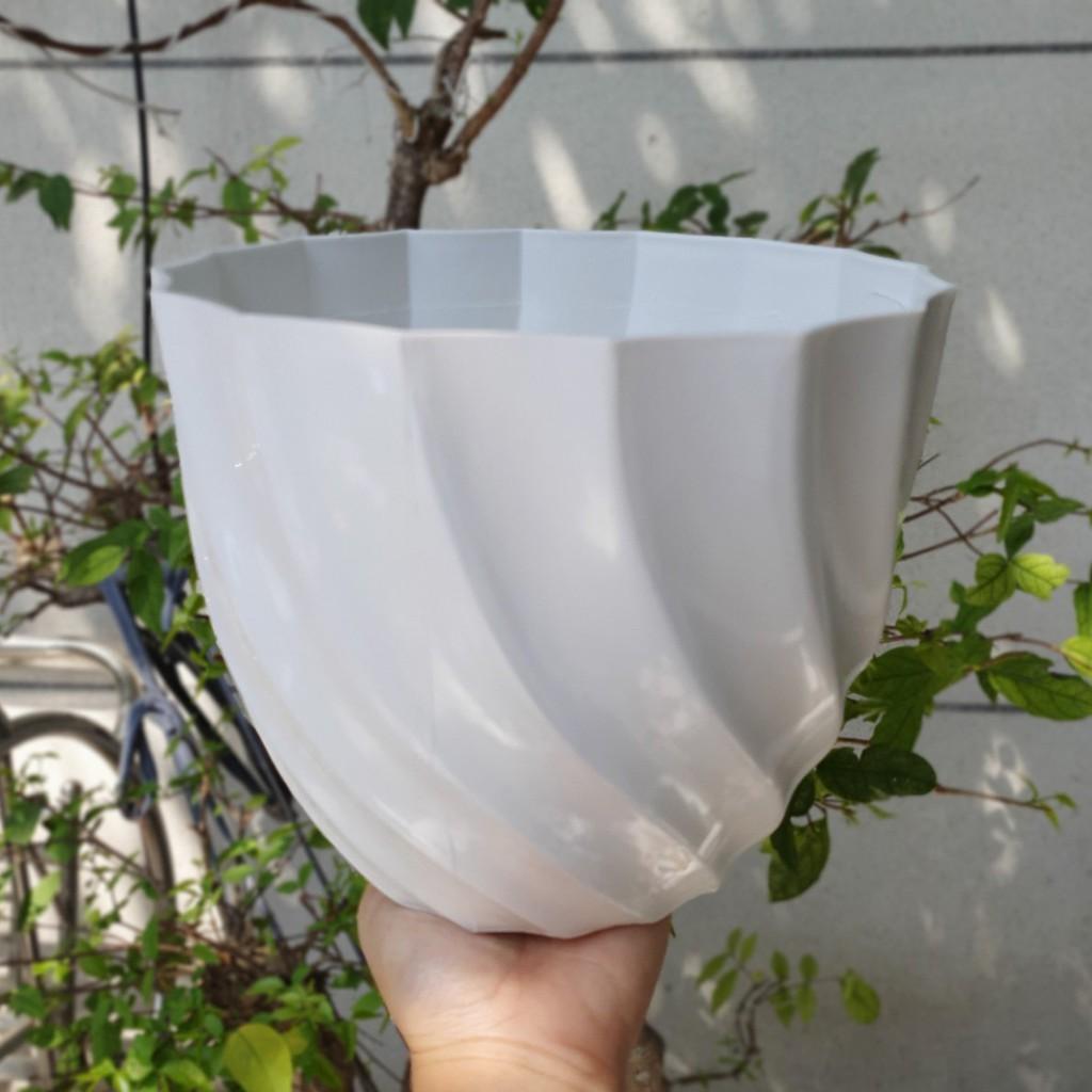 Bộ 4 chậu ốc xoắn màu trắng nhựa dày đẹp 21x17cm