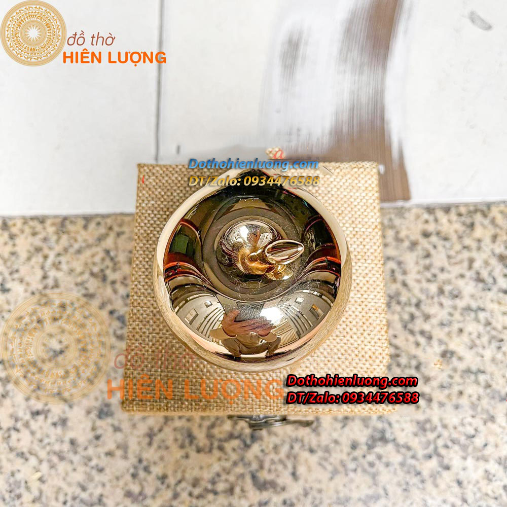 Quả Táo Màu Vàng Trơn Bằng Đồng Nguyên Chất Cao 8cm, Dài 7cm, Nặng 0,4kg- Đồ Thờ Hiên Lượng