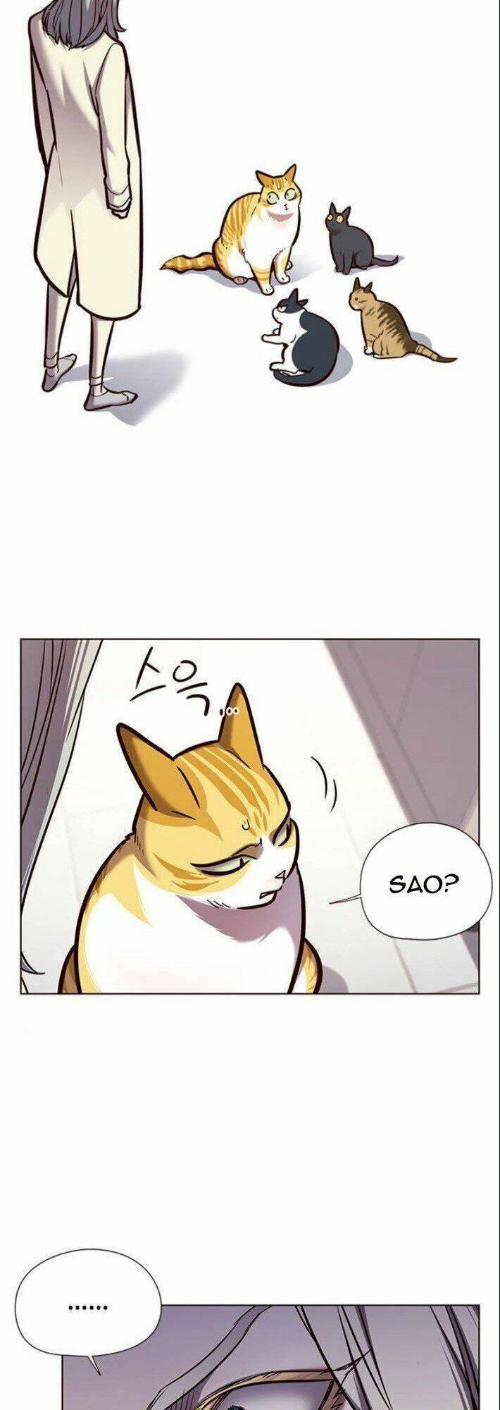 biến thân thành mèo chapter 139 2