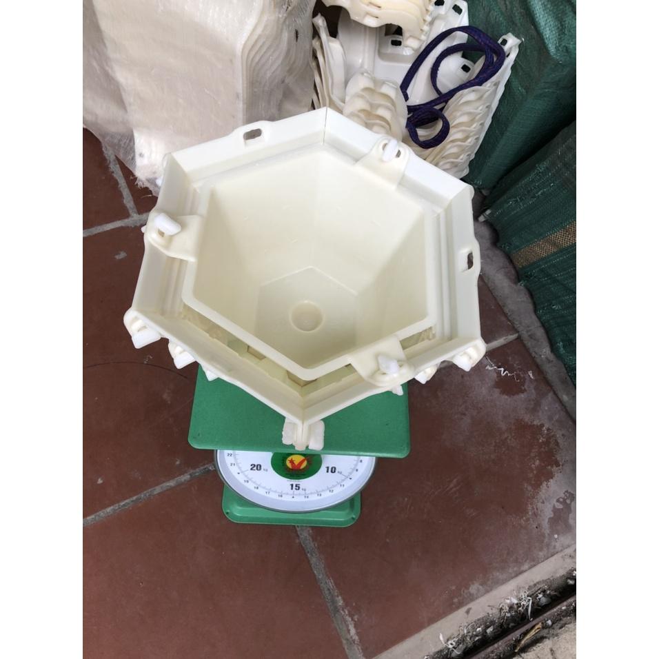 Khuôn chậu cảnh lục giác rộng 26cm dáng bầu mẫu hoa Sen