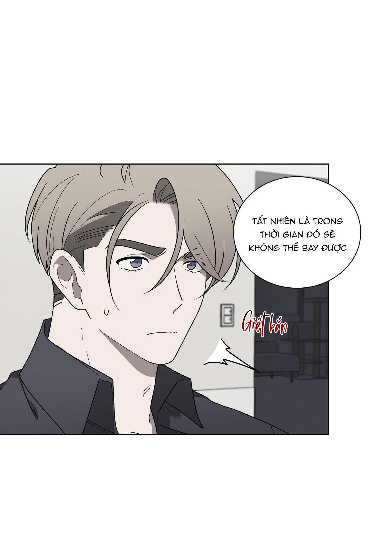 khi chim thước đến chapter 13 15