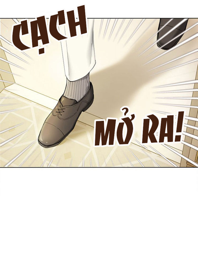 tìm lại nàng camellia chapter 2 23