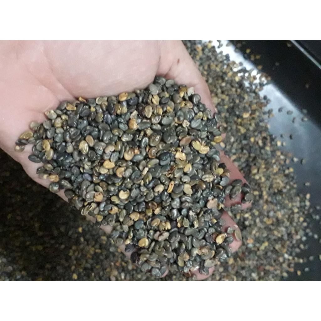 Hạt Giống Cỏ Lục Lạc Sợi - 100g - Hạt Giống Cỏ Chăn Nuôi