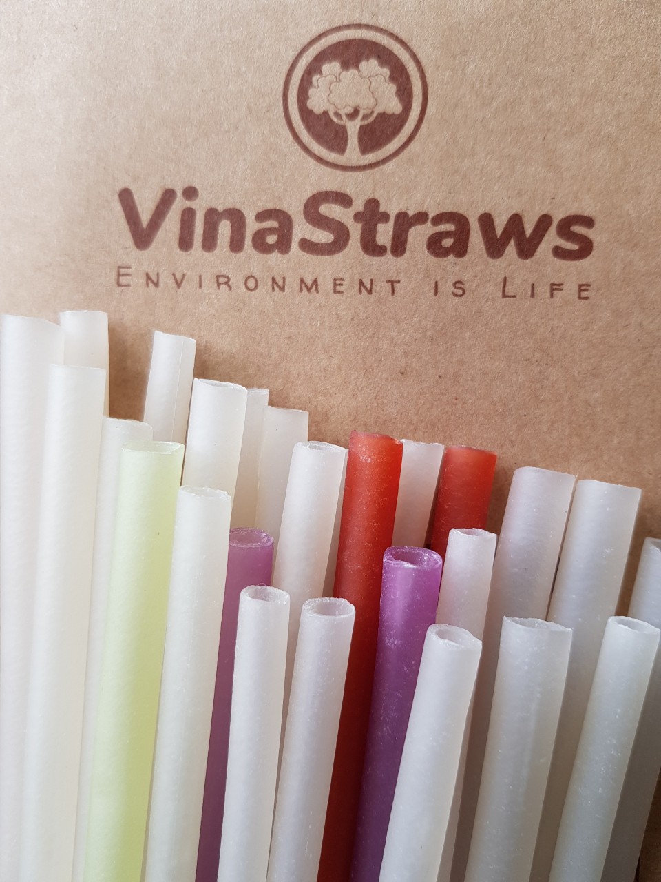 Ống hút gạo ( Ống hút gạo Rice straws Túi 100 ống hút sinh tố nhiều màu