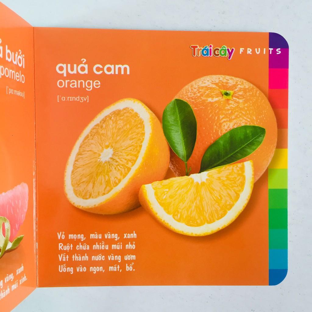 Sách – Bé Khám Phá Môi Trường Xung Quanh - Động vật nuôi - Động vật hoang dã - Đồ dùng gia đình - Trái cây - Rau củ - Động vật dưới nước - Giao thông - Chim