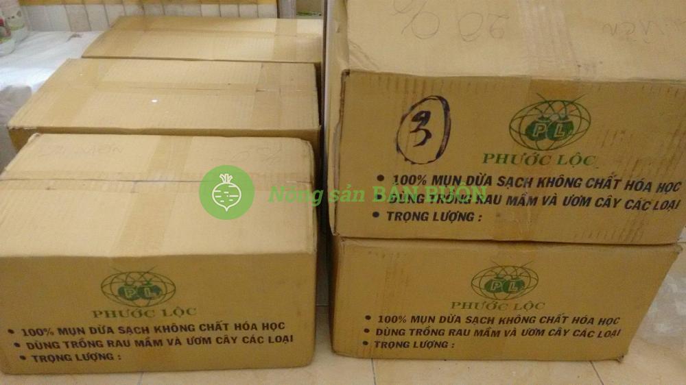 THÙNG 24 VIÊN NÉN MỤN DỪA PHƯỚC LỘC-TIỀN GIANG, 100% MỤN DỪA TRỒNG RAU MẦM – RAU ĂN LÁ