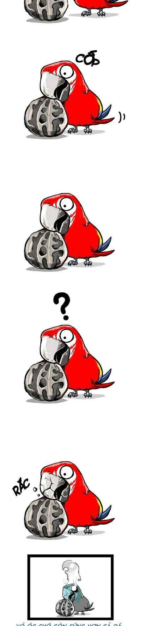 earth, human, and animal chapter 11 7