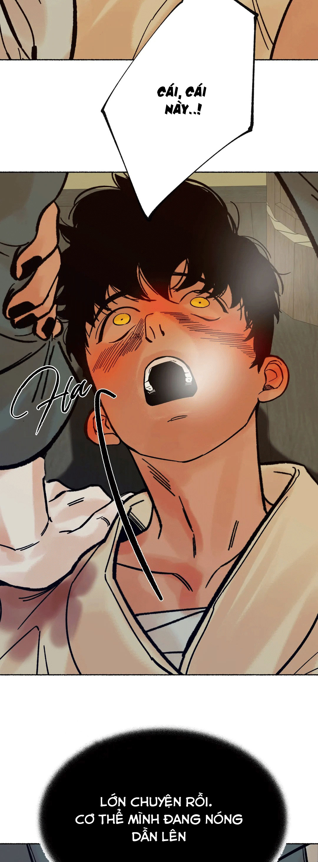 chú hổ hoàng kim chapter 6 47