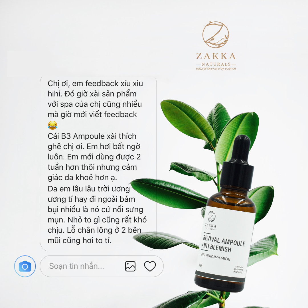 Serum Niacinamide Trắng Da, Giảm Thâm Mụn, Giảm Mụn, Cấp Nước, Giữ Ẩm, Chống Lão Hóa Phục Hồi Da Revival Ampoule Anti Blemish With 10% Niacinamide 30ml - Zakka Naturals