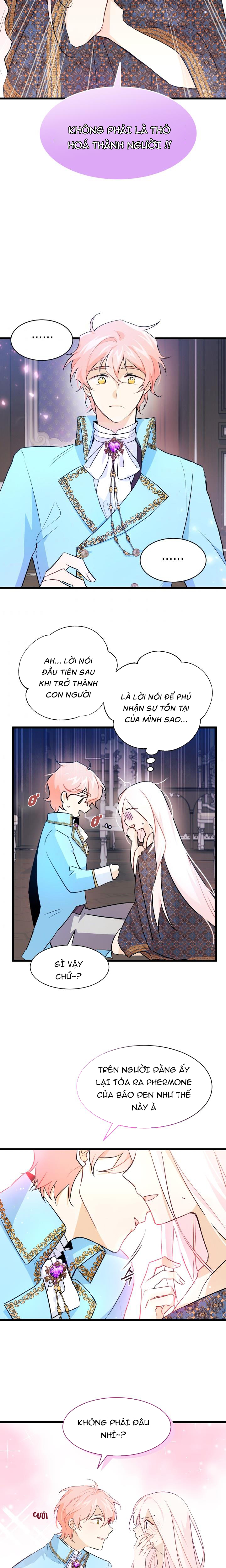 mối liên kết giữa báo đen và bé thỏ chapter 20 12