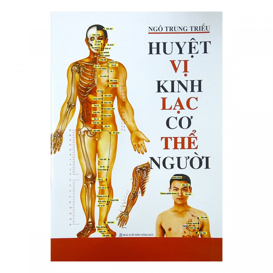 Huyệt Vị Kinh Lạc Cơ Thể Người