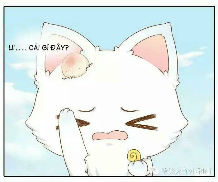 tiểu hồ ly vs tiểu hóa thượng chapter 12 8