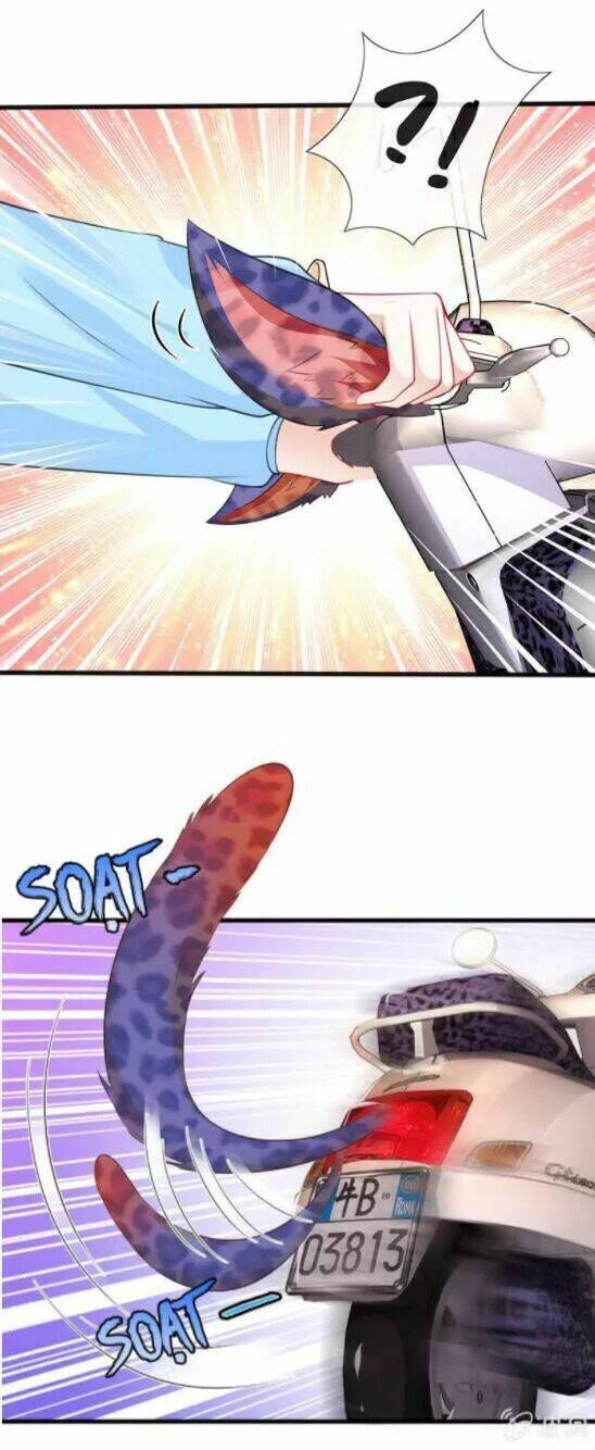 vương bài thiên sư và tiểu manh yêu chapter 19 12