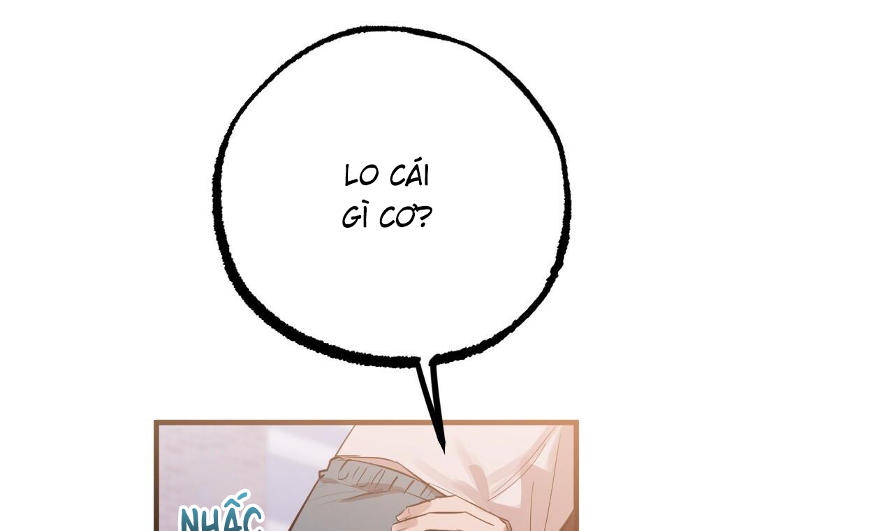 những chú thỏ của hapypy chapter 51 62