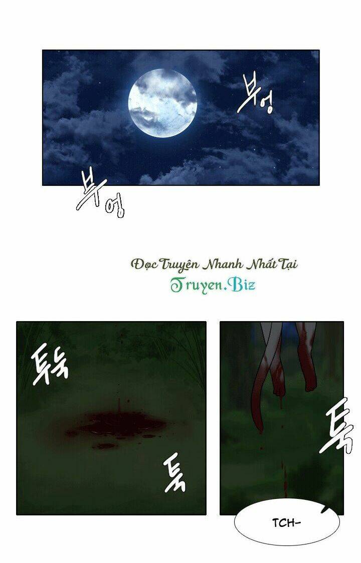 m. m. g. chapter 11 9